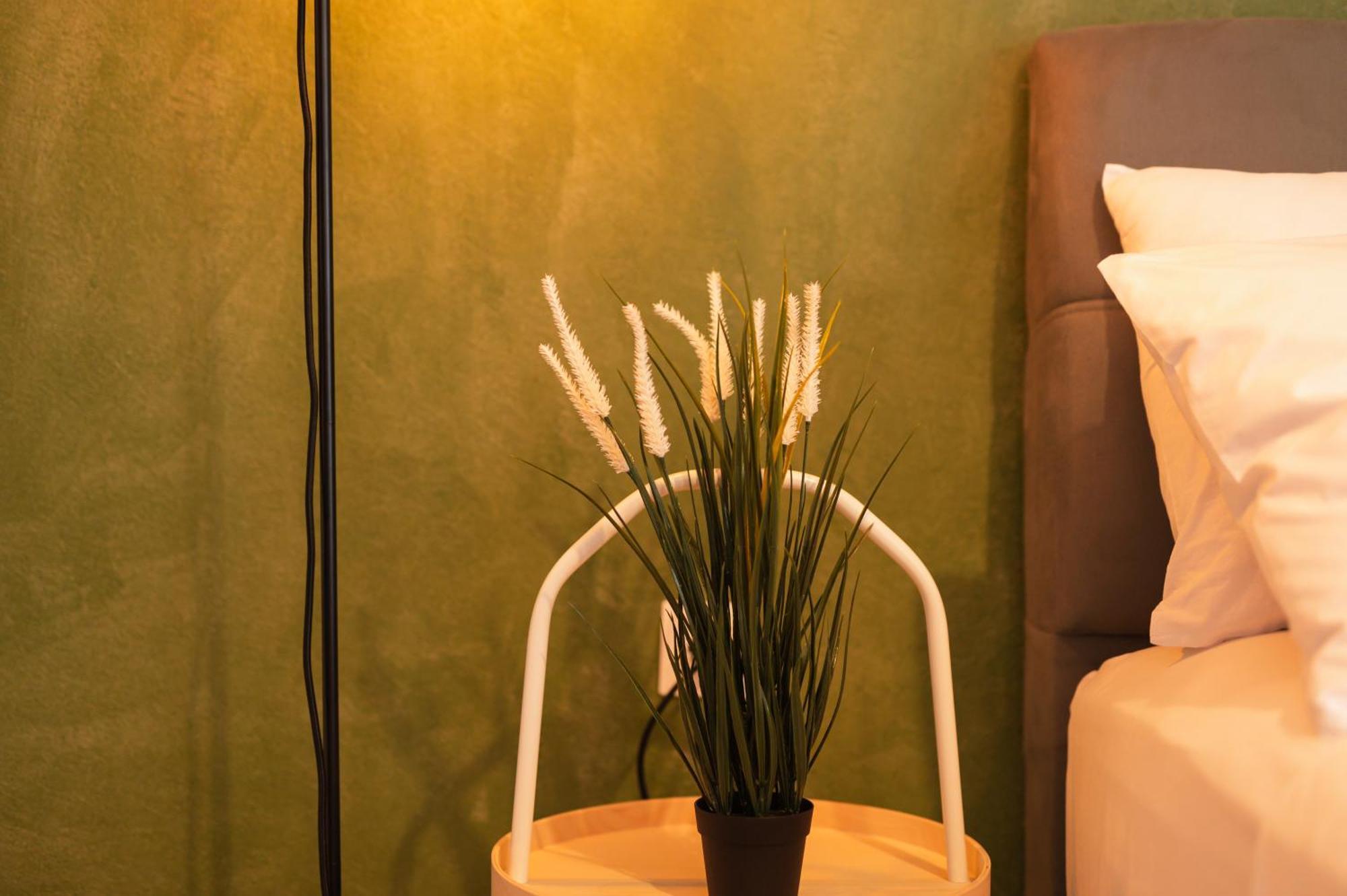 Ancient Forest Suite By Heeaven'S Hall Luxury Suites Alexandroupoli Exterior foto